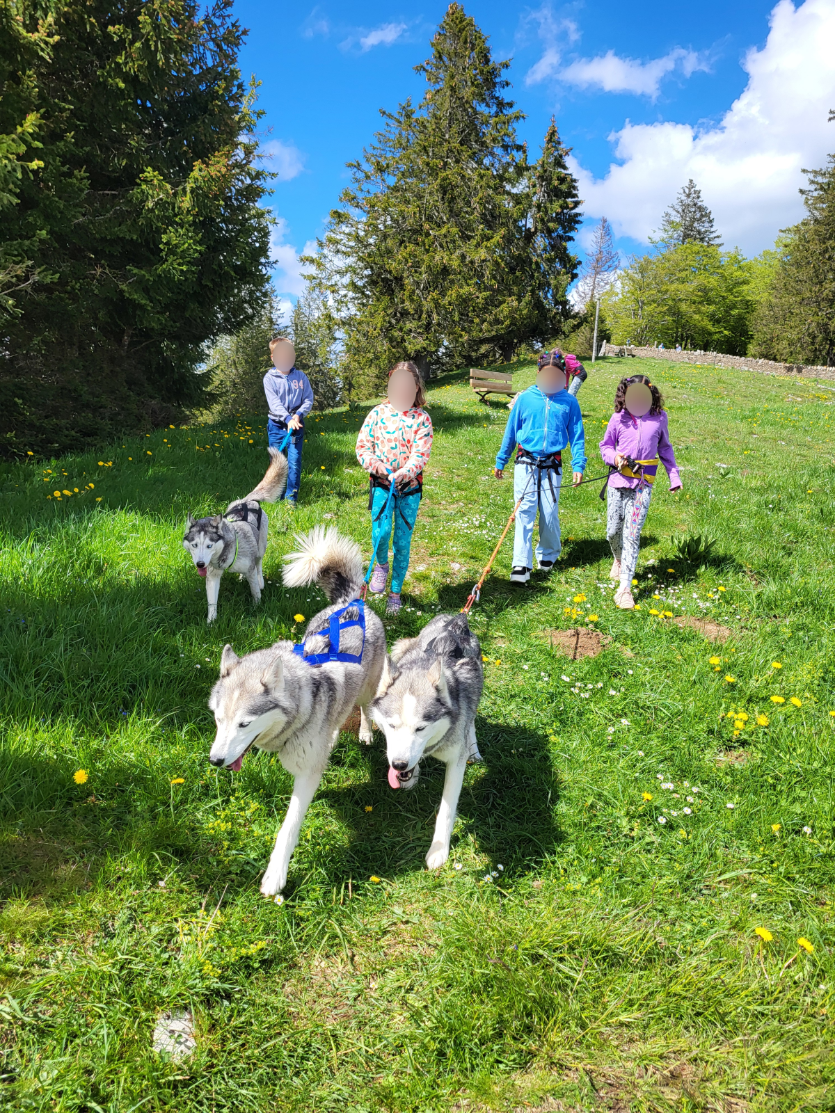 Canirando Canirando avec enfants