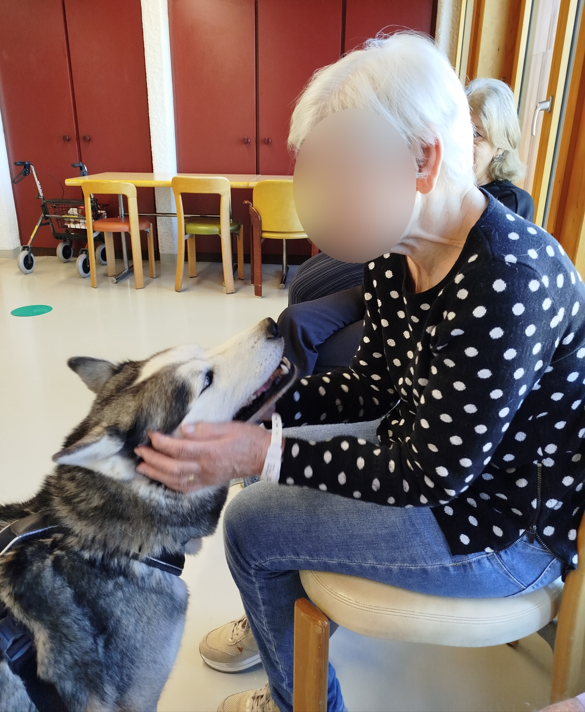 zoothérapie lien entre une résidante et le chien